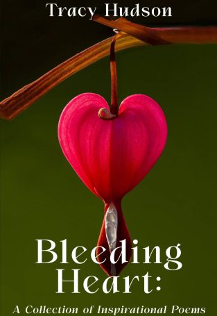 Tracy_Hudson_-_eBook_Cover_Design_(September_15th,_2023)